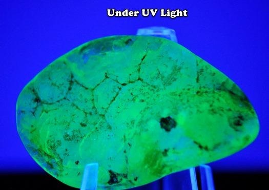 150.00CT 非常に希少なジャンボ ユニークな UV 反応性蛍光ラフ ハイアライト オパール