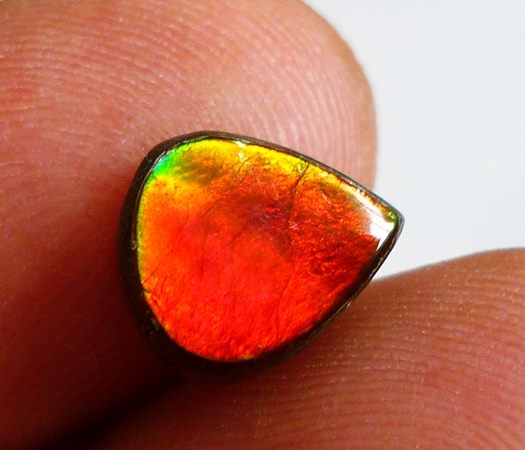 3.52CT VIBRANT RAINBOW BRIGHT COLOURFUL AMMOLITE AMMONITE