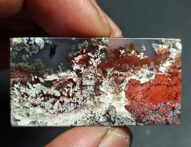 37.00CT RARE PICTURESQUE INDONESIAN GARDEN MOSS AGATE