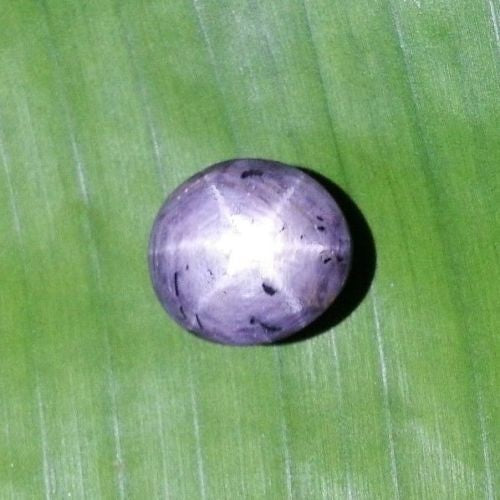 67.50CT UNHEATED HUGE NATURAL 6 RAY RED STAR RUBY