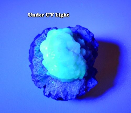 87.00CT UNIQUE NATURAL UV REACTIVE FLORESCENT HYALITE OPAL ON MATRIX