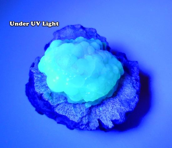 87.00CT UNIQUE NATURAL UV REACTIVE FLORESCENT HYALITE OPAL ON MATRIX